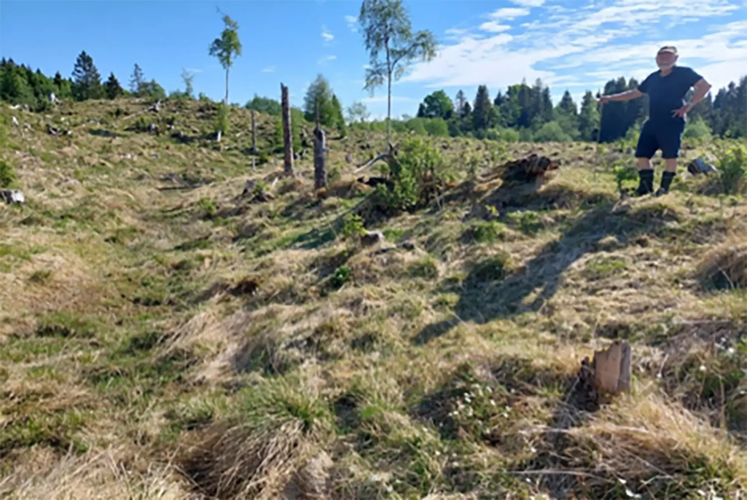 Står Carl Ivar Storøy på en gravhaug i nedre del av Storenget på Hunn Østre? Haugen ligger ved den gamle hulvegen (tråkket) fra Hunn til «storgrenda» Nordgårdene. Foto: Brynjar Mørkved