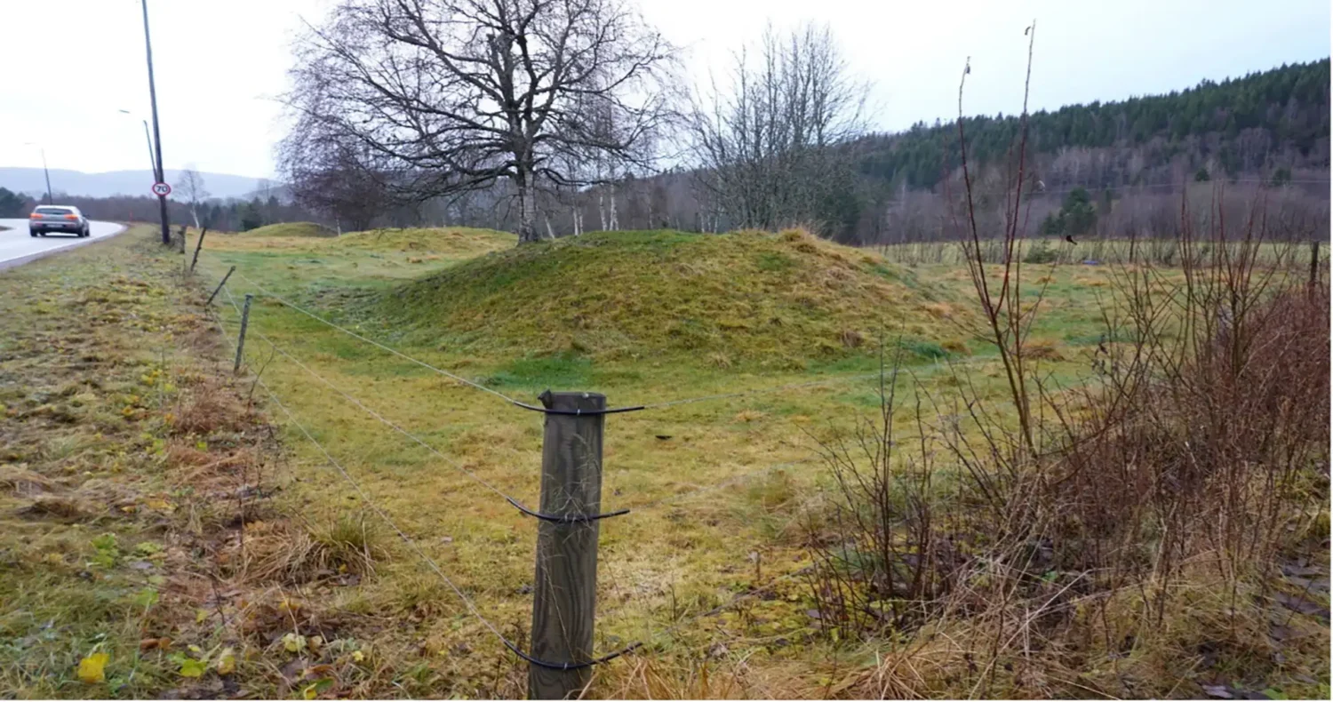 Hunn gravfelt like ved Fv 17. Foto: Brynjar Mørkved.