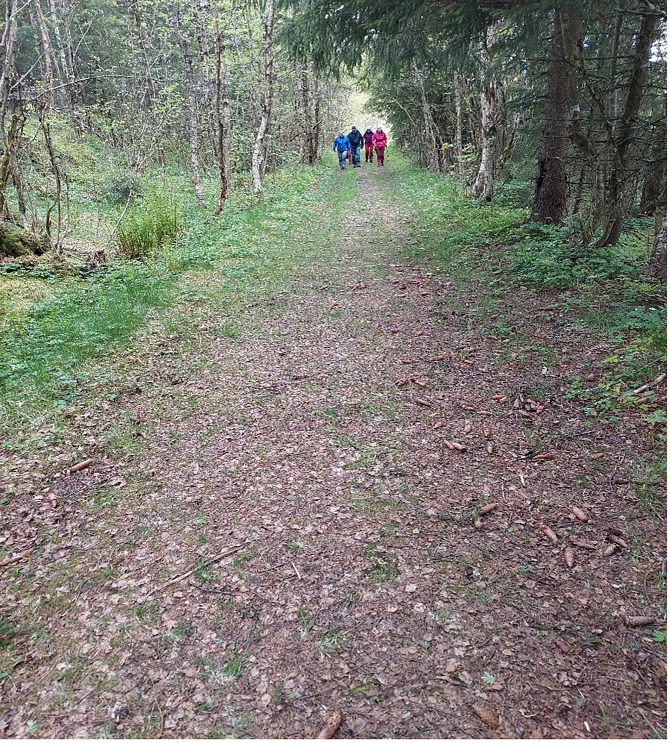 Overhalla historielags treff på Kavlvegen 27.5.2025 – fra tidligere torvstrø’n til Tetlievattan. Foto: Brynjar Mørkved.