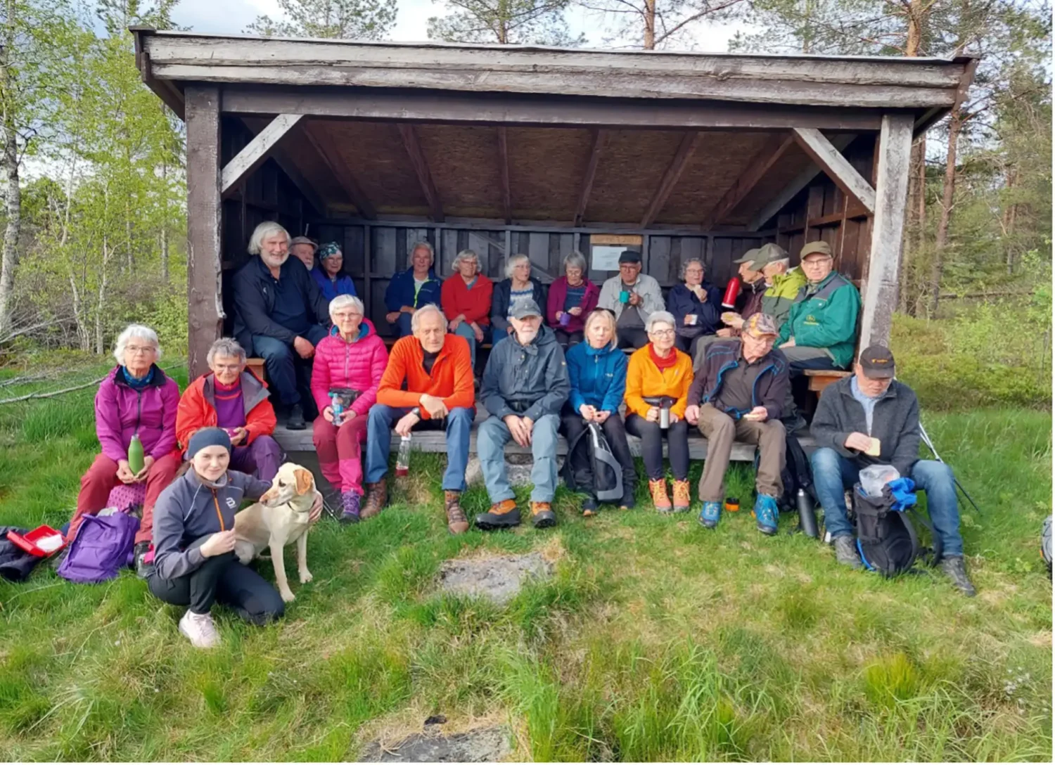 Overhalla historielags treff på Kavlvegen 27.5.2025 – fra tidligere torvstrø’n til Tetlievattan. Foto: Brynjar Mørkved.