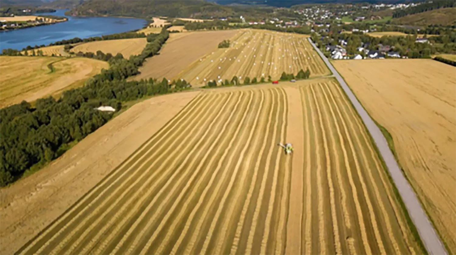 Skuronn på Hunn Vestre ved jordleier Arne Jørgen Hatland fra Ristad i Sørgårdene – far til nåværende eier Ole Jørgen Hongseth Hatland. Treklyngen er småhaugan. Foto: Einar Aas.