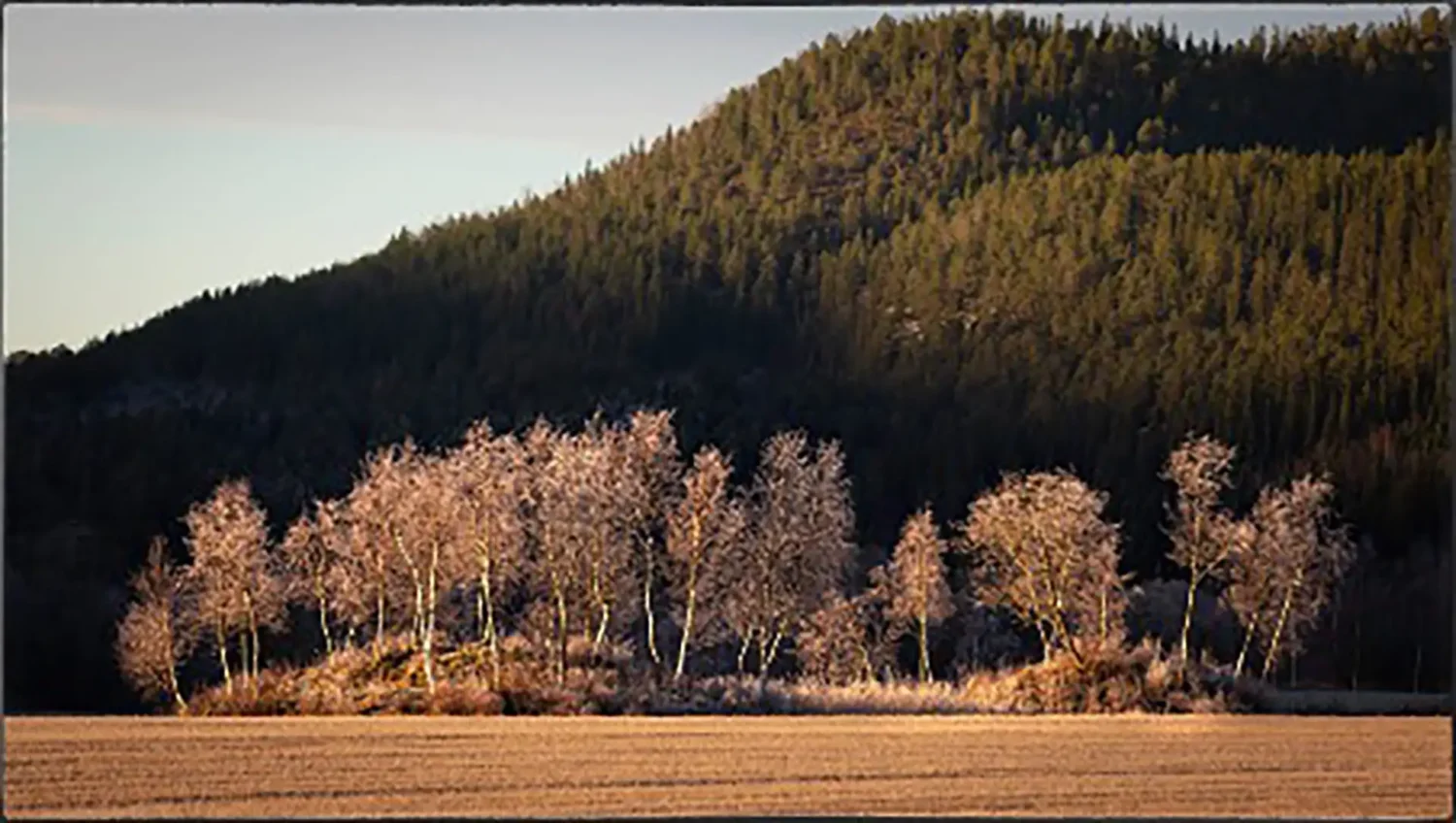 Vattan og «småhaugan» på Hunn Vestre – på Gåsmoen (kalt Storåkeren)